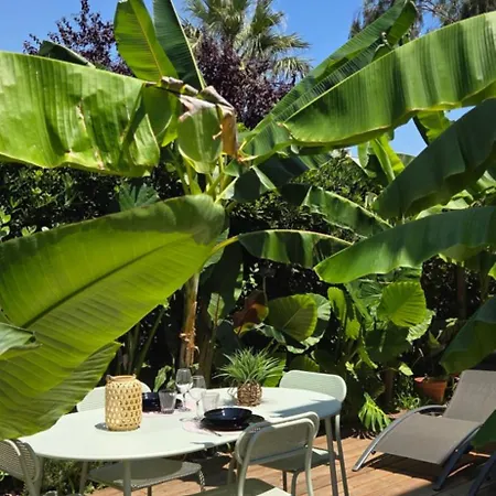 Avec Terrasse Tropicale A 3 Min De La Apartman *